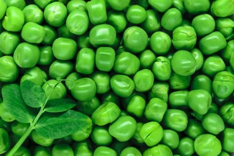 Clear and sharp close up view of fresh green peas background Stockfoto's