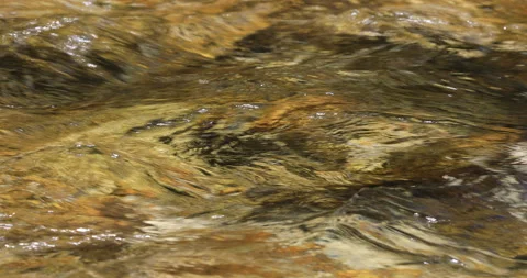 Clear and transparent water flows into the river Stock Footage 201108029