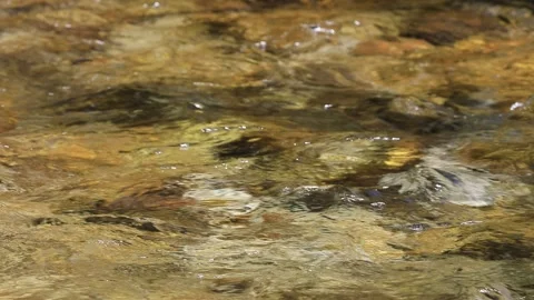 Clear and transparent water flows into the river Stock Footage 201108211