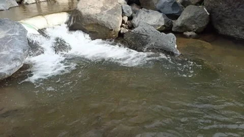 Clear and transparent water in the river Stock Footage 291009700