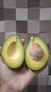 Clear Avocado Фото