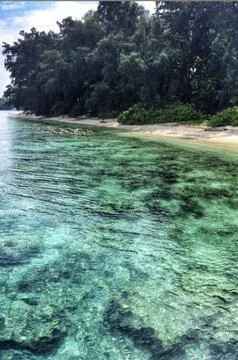 Clear beach Foto stock