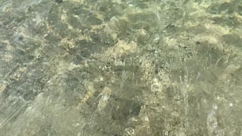 Clear beach waves surface on shore Stock Footage 295579638