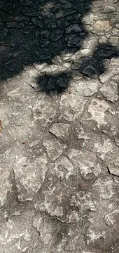 A Clear Black Shadow Stock Photos