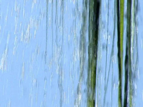 Clear Blue Stock Footage 489806