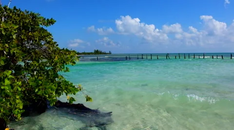 Clear blue lagoon 스톡 동영상 45879007