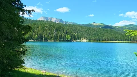 Clear blue lake surrounded by dense green pines. Black Lake, Montenegro 스톡 동영상 342971035