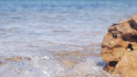 Clear blue ocean waves wash past a textured coastal rock. Stock Footage 337407552