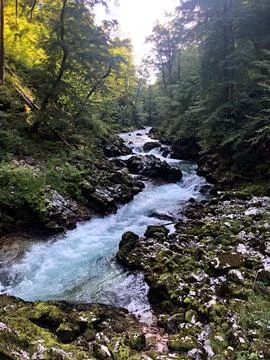 Clear Blue River Flowing Through Rocky Stream Bed Surrounded Stock Photos
