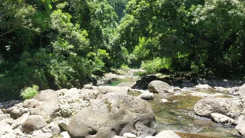 Clear blue river in the mountains of Jamaica Stock Footage 125094853