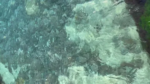 Clear blue sea stone bottom  - stock video Stock Footage 240339473