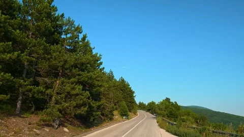 Clear blue sky above winding road through pine. Balkan Mountains, Serbia Vídeo Stock 341962699