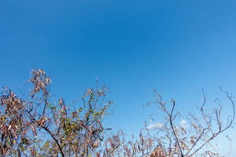 Clear blue sky background,clouds with background. Stock Photos