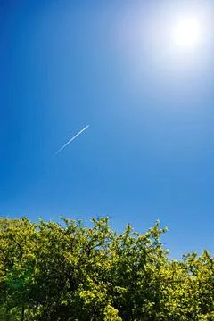 Clear blue sky with bright sun and airplane trail above green trees Fotos Stock