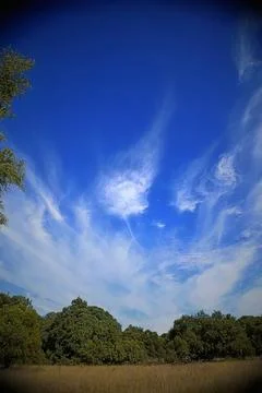 Clear blue sky with clouds over green trees and field Stock Photos
