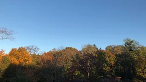 Clear blue sky on a fall day tree line Video stock 158816506