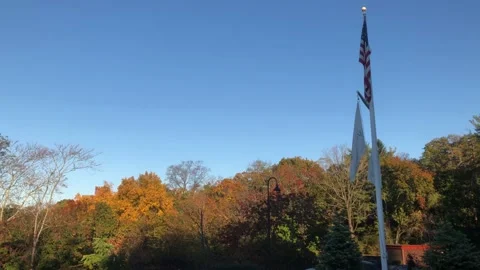 Clear blue sky on a hike in a fall day Stock Footage 158816505