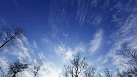 Clear blue sky with light clouds and leafless trees in the background, crea.. Stock Footage 303744978