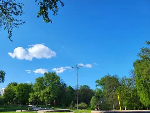 Clear Blue Sky With Light Clouds Over Trees Stock Photos