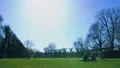 Clear blue sky over green park, couple resting outside on weekend, tranquility HD Footage