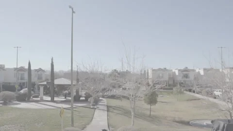 Clear blue sky on a park Stock Footage 300815862