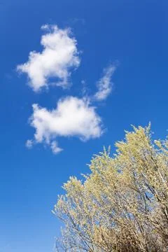 Clear blue sky Stock Photos