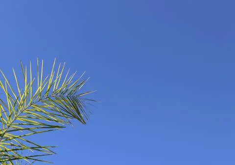 Clear blue sky Stock Photos
