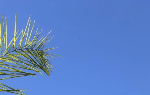 Clear blue sky Stock Photos