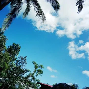 Clear Blue Sky Stock Photos