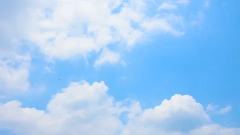 Clear blue sky with plain white cloud. Stock-Footage 109611238