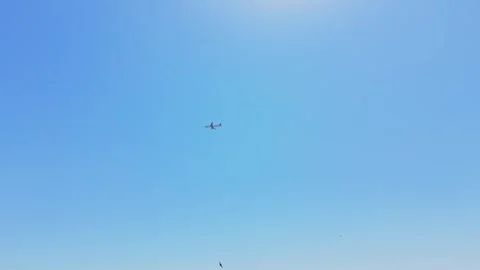 Clear blue sky with a small aircraft flying overhead Video stock 342603470