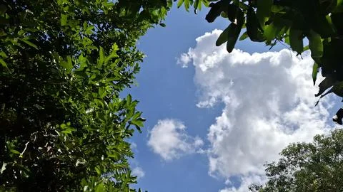 Clear Blue Sky with Soft White Clouds Background, Blue Sky with White Cloud Stock Photos
