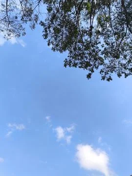 Clear blue sky with soft white clouds Stock-Fotos