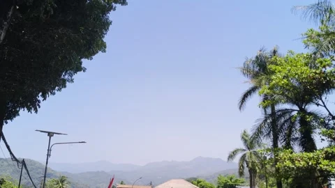 Clear blue sky with tropical palm trees in daylight Stock Footage 346485155