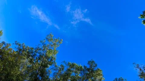 Clear blue sky with white clouds, illuminated by sunlight Stock Photos