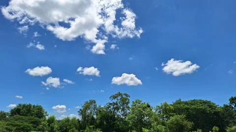 Clear blue sky with white clouds over green trees Stock Photos