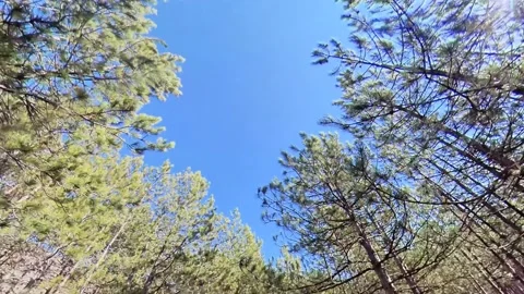 Clear blue sky33 Stock Footage 169629875