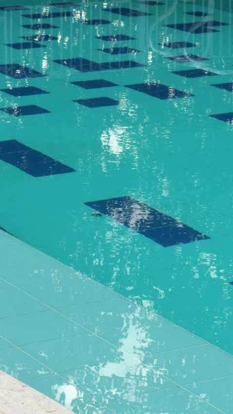 Clear Blue Swimming Pool with Reflections and Geometric Tile Pattern Stock Footage 311286433