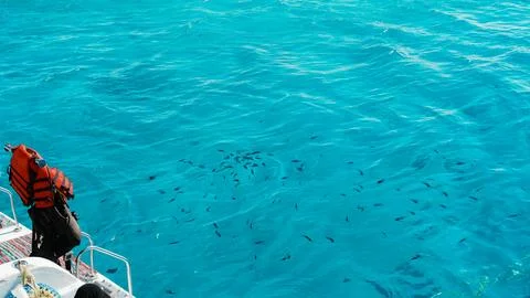 A clear blue water surface captures the deep texture of ripple waves and liquid  Stockfoto's