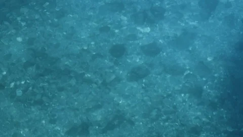 Clear blue water waves view from above Stock Footage 78156464