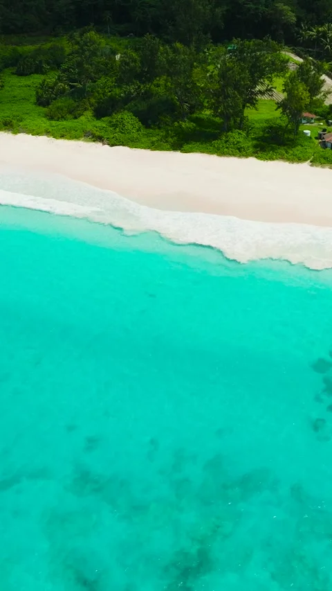 Clear blue waters surrounding a lush green island coastline. La Digue Stock Footage 311492610