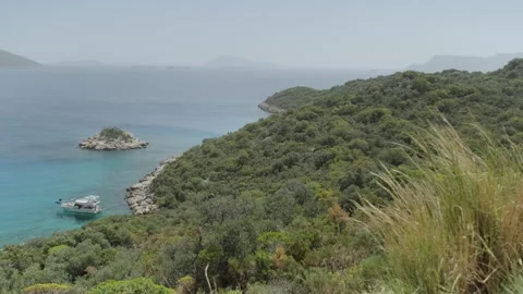Clear Blue Waters Through Branches Stock Footage 282936384