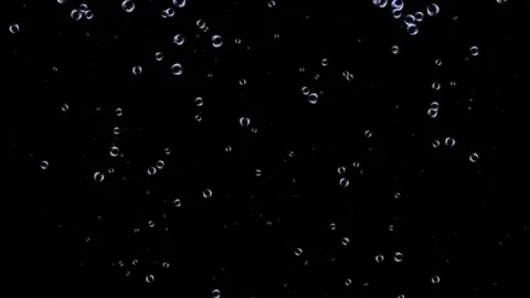 Clear bubbles ascend from bottom to top on solid black background in slow m.. Stock Footage 336327401