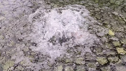 Clear bubbling water fountain spring gushing from underwater rocks Stock Footage 345097487