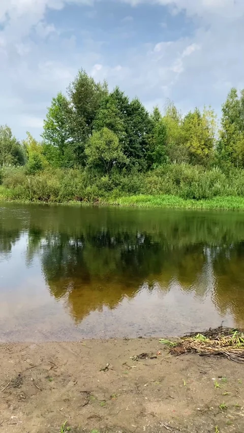 A clear, calm river among the trees. Vertical video Stock Footage 282185881