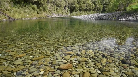 Clear, calm stretch of river flowing over stony bottom, New Zealand. Video stock 146990056