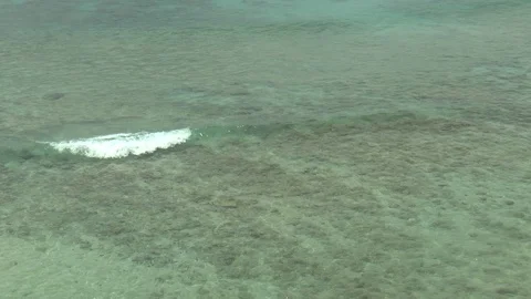 Clear Caribean Sea Waves Stock Footage 107790634