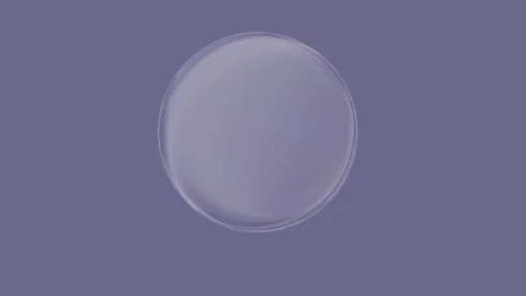 Clear circular object on purple background Illustrazione stock