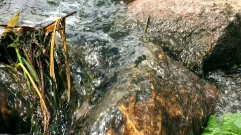 Clear Creek Flowing Stock Footage