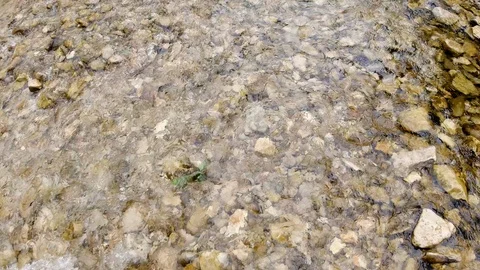 Clear creek running over rocks Stock Footage 108642694